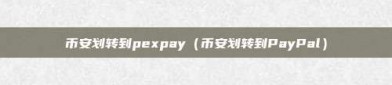 币安划转到pexpay（币安划转到PayPal）