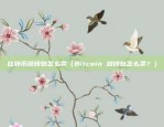 币安本位永续合约（一种全新的金融创新）