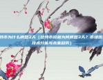 比特币官方是哪个网站（比特币官方）