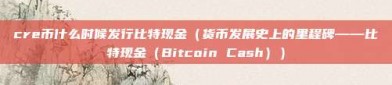 cre币什么时候发行比特现金（货币发展史上的里程碑——比特现金（Bitcoin Cash））