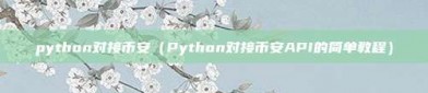 python对接币安（Python对接币安API的简单教程）