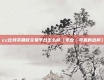 虚拟国际货币是什么意思（全球金融创新的最新趋势）