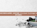 欧意交易所怎么提现的（欧陆交易所（Euroland Exchange）提现方式概述）