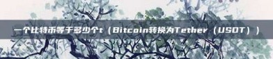 一个比特币等于多少个t（Bitcoin转换为Tether（USDT））