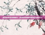 esp是什么虚拟货币（一个神秘的数字货币）