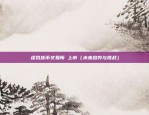 币安的cvv填什么（了解币安CVV代码的重要性）