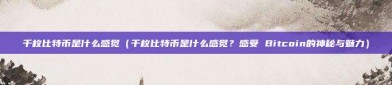 千枚比特币是什么感觉（千枚比特币是什么感觉？感受 Bitcoin的神秘与魅力）