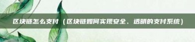 区块链怎么支付（区块链如何实现安全、透明的支付系统）