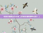 币安链上怎么查看锁池（币安链上查看锁池）