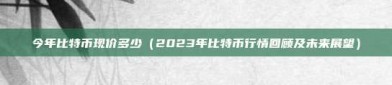 今年比特币现价多少（2023年比特币行情回顾及未来展望）