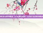 国融富投区块链怎么样（创新科技引领未来金融）