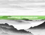 币安永续合约网址（开启你的金融新世界）