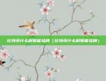 什么是比特币今日价格（比特币今日价格分析与展望）