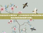 虚拟货币合约推广（虚拟货币合约推广策略与实践）