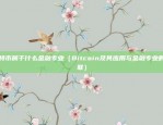 孙宇晨币安发行trc（以孙宇晨为中心，解析币安发行TRC-20代币的背景和意义）