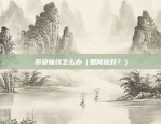 新加坡虚拟货币交易所（创新与挑战并存的未来市场）