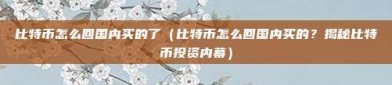 比特币怎么回国内买的了（比特币怎么回国内买的？揭秘比特币投资内幕）