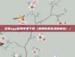 欧意app网络异常（欧意App网络异常，用户反馈与解决方案）