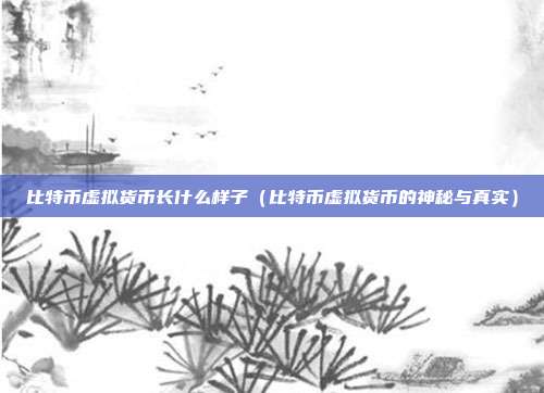 比特币虚拟货币长什么样子（比特币虚拟货币的神秘与真实）