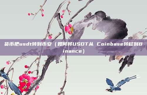 货币把usdt转到币安（如何将USDT从 Coinbase转移到Binance）