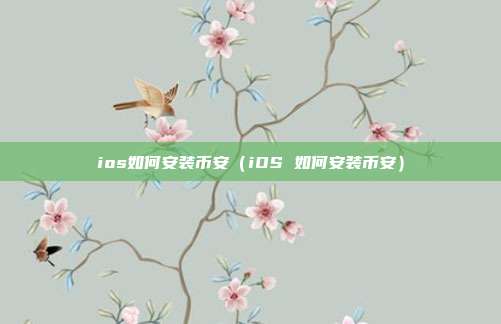 ios如何安装币安（iOS 如何安装币安）