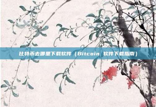 比特币去哪里下载软件（Bitcoin 软件下载指南）