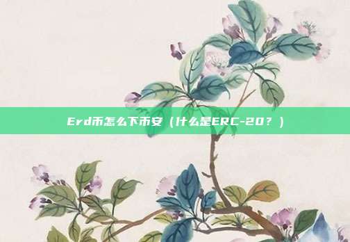 Erd币怎么下币安（什么是ERC-20？）