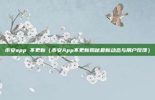 币安app 不更新（币安App不更新揭秘最新动态与用户反馈）