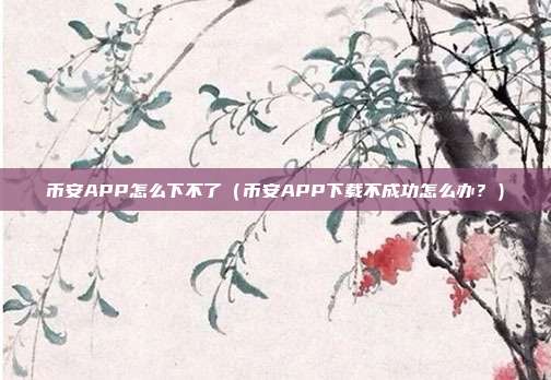 币安APP怎么下不了（币安APP下载不成功怎么办？）