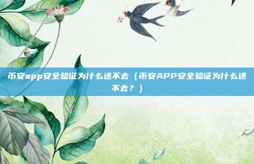 币安app安全验证为什么进不去（币安APP安全验证为什么进不去？）