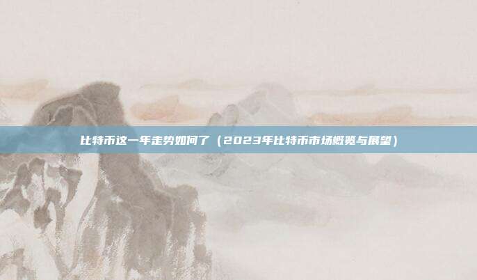 比特币这一年走势如何了（2023年比特币市场概览与展望）