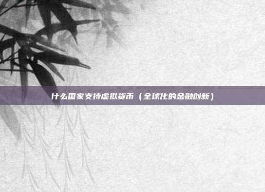 什么国家支持虚拟货币（全球化的金融创新）