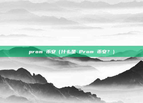 prom 币安（什么是 Prom 币安？）