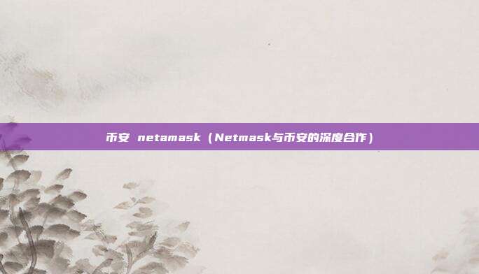 币安 netamask（Netmask与币安的深度合作）