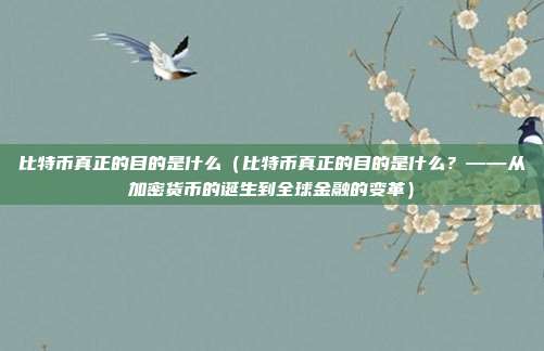 比特币真正的目的是什么（比特币真正的目的是什么？——从加密货币的诞生到全球金融的变革）