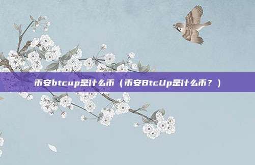 币安btcup是什么币（币安BtcUp是什么币？）