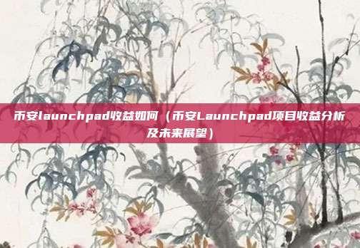 币安launchpad收益如何（币安Launchpad项目收益分析及未来展望）