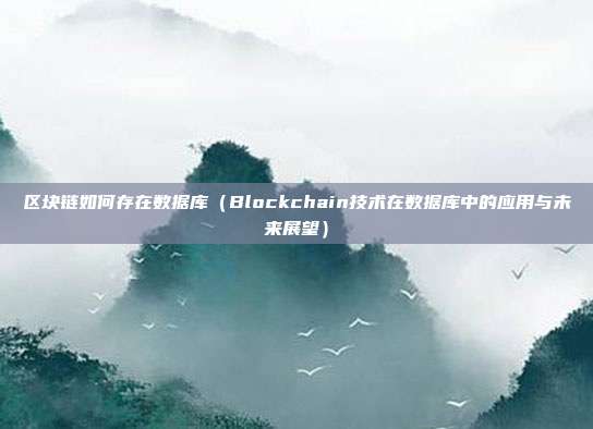 区块链如何存在数据库（Blockchain技术在数据库中的应用与未来展望）