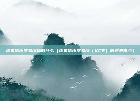 虚拟货币交易所指的什么（虚拟货币交易所（VCE）概述与特点）