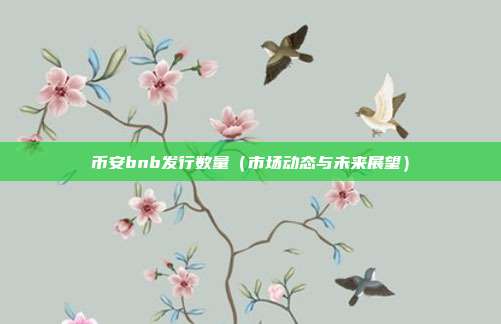 币安bnb发行数量（市场动态与未来展望）