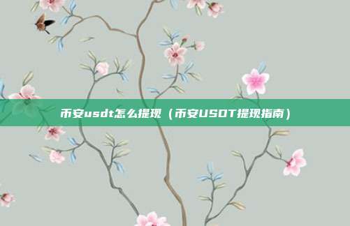 币安usdt怎么提现（币安USDT提现指南）