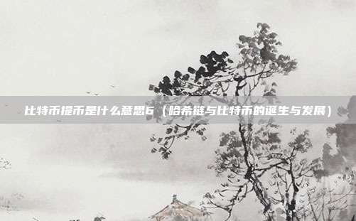 比特币提币是什么意思6（哈希链与比特币的诞生与发展）