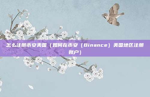 怎么注册币安美国（如何在币安（Binance）美国地区注册账户）