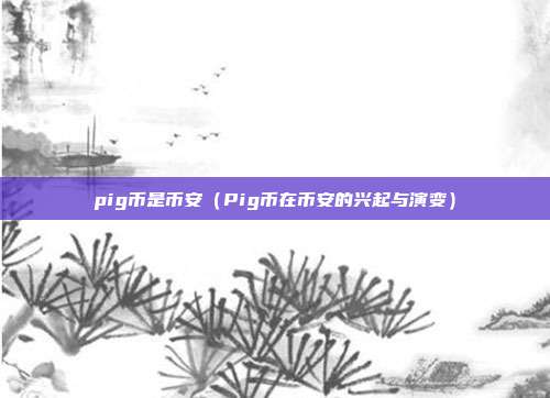 pig币是币安（Pig币在币安的兴起与演变）