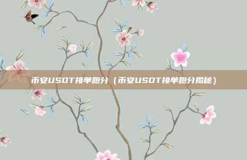 币安USDT接单跑分（币安USDT接单跑分揭秘）