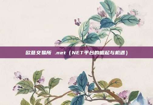 欧意交易所 .net（NET平台的崛起与机遇）