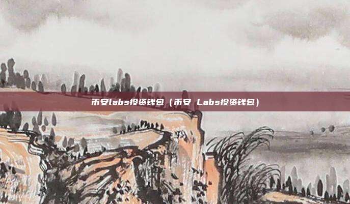 币安labs投资钱包（币安 Labs投资钱包）