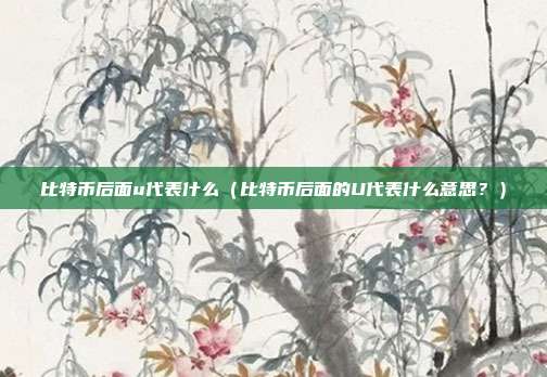 比特币后面u代表什么（比特币后面的U代表什么意思？）