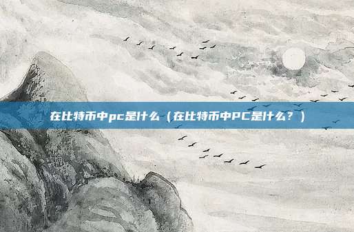 在比特币中pc是什么（在比特币中PC是什么？）