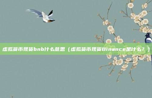 虚拟货币现货bnb什么意思（虚拟货币现货Binance是什么？）